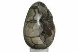 7.9" Septarian "Dragon Egg" Geode - Black Crystals - #202557-1